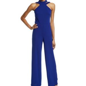 Bebe BNWT cobalt blue jumpsuit